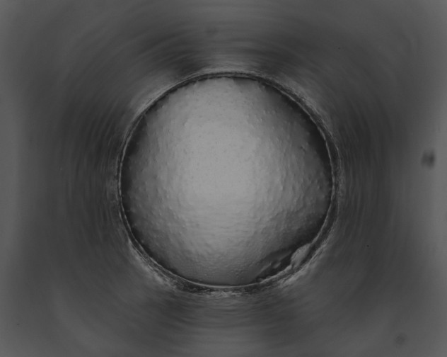 X0000091191137200708301231