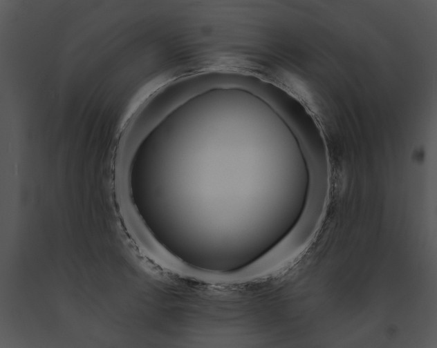 X0000091191138200708301231