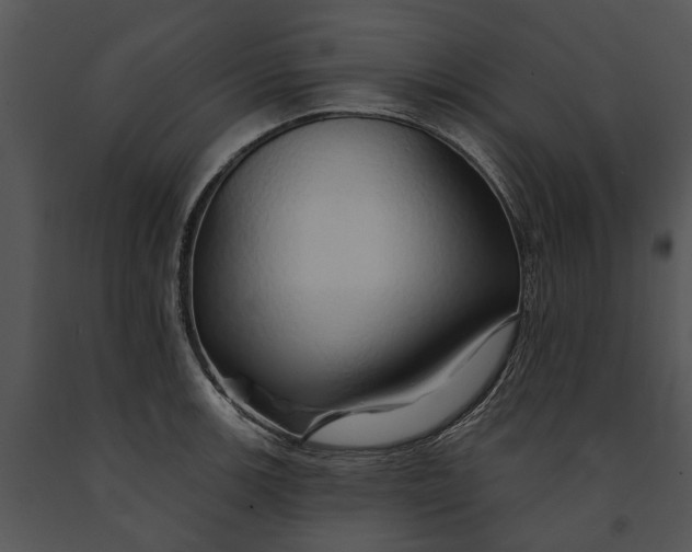 X0000091191139200708301231