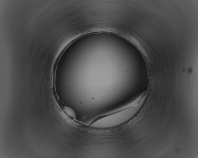 X0000091191140200708301231