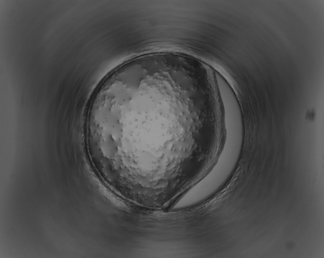 X0000091191142200708301232