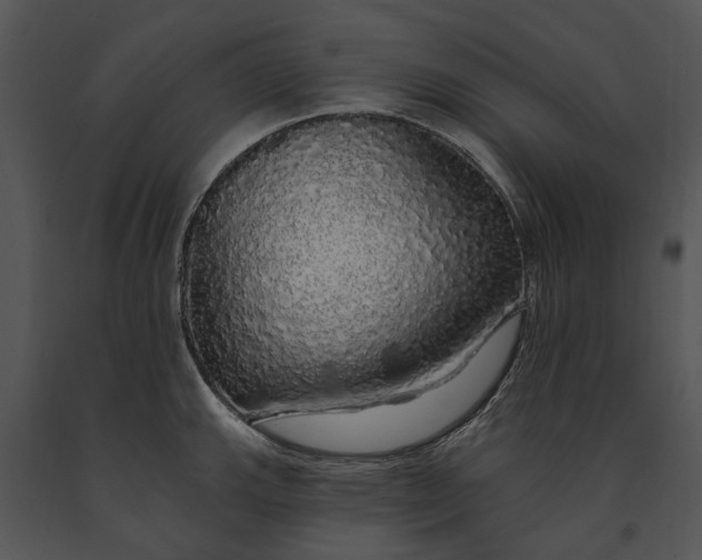 X0000091191143200708301232