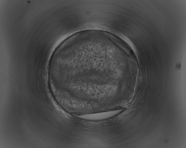 X0000091191144200708301232