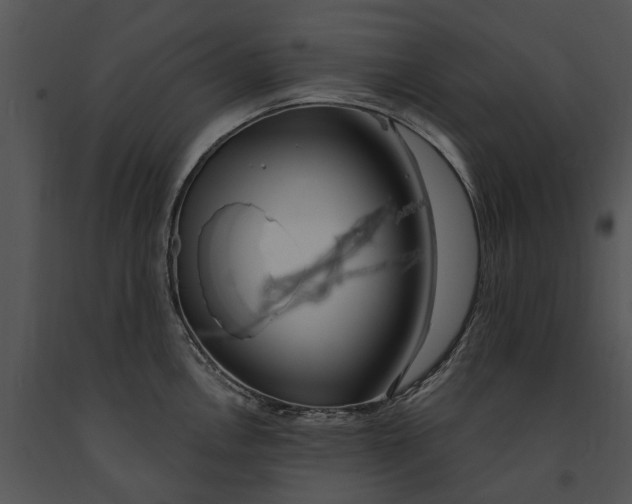 X0000091191146200708301232