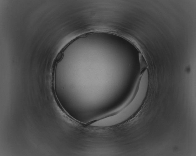 X0000091191147200708301232