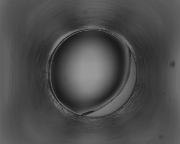 X0000091191148200708301232