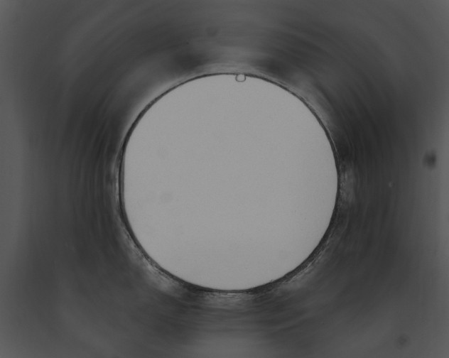 X0000091191150200708301232