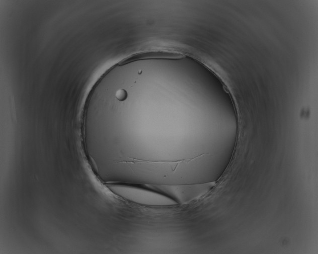 X0000091191152200708301232