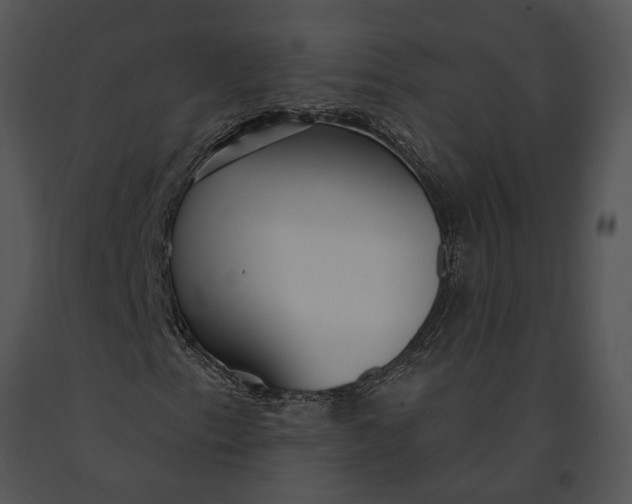 X0000091191153200708301231