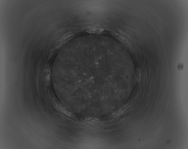 X0000091191154200708301231