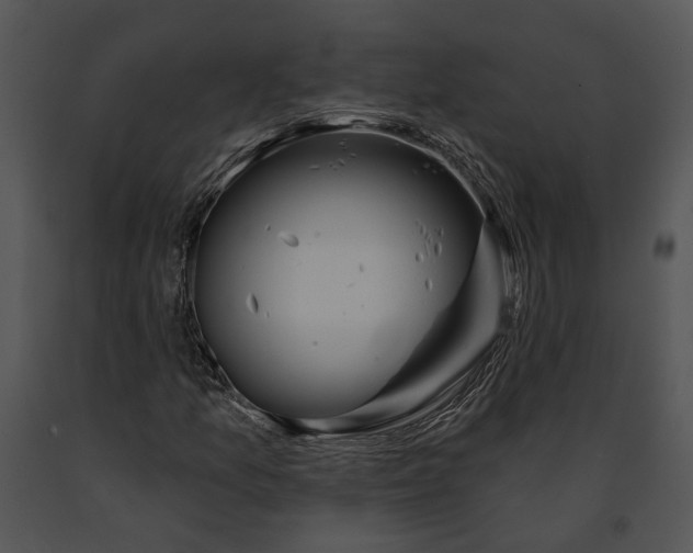 X0000091191157200708301231