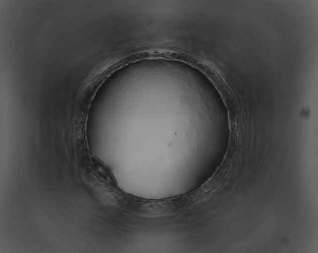 X0000091191159200708301231