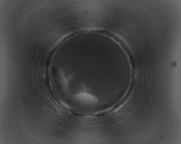 X0000091191161200708301231