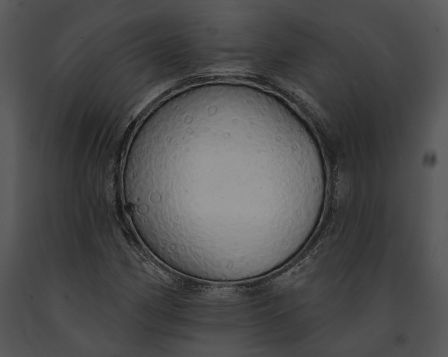 X0000091191162200708301231