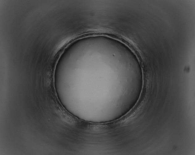 X0000091191163200708301231