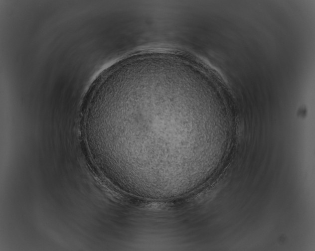 X0000091191166200708301231