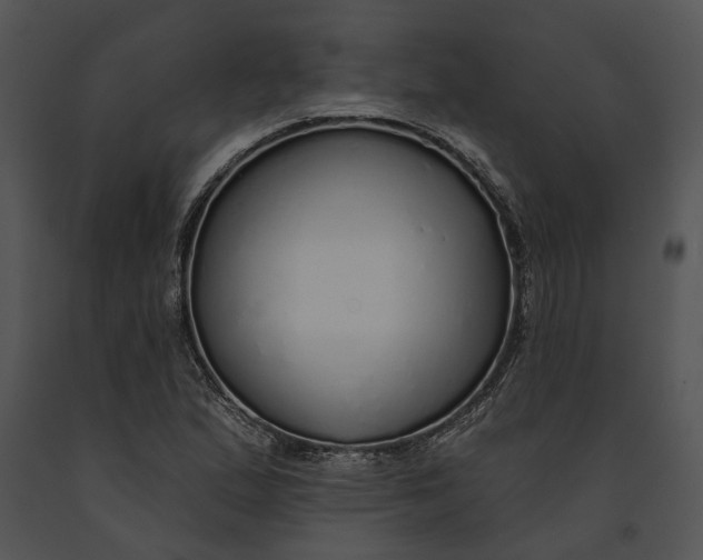 X0000091191167200708301231