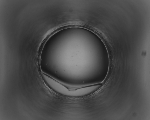 X0000091191168200708301231