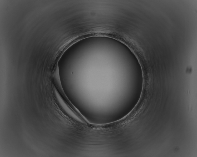 X0000091191169200708301231