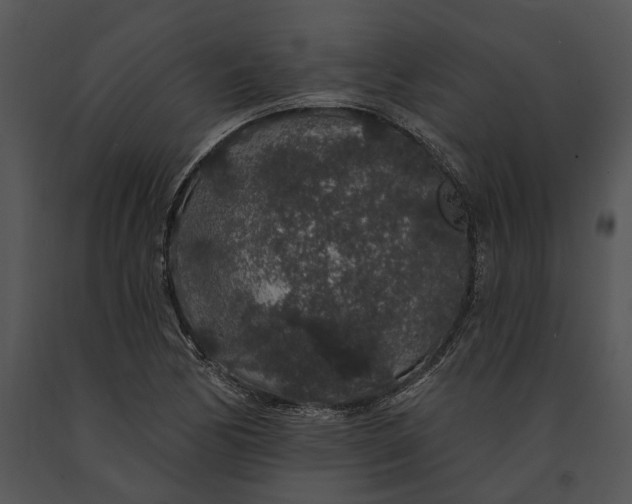 X0000091191170200708301231