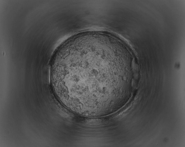 X0000091191171200708301231