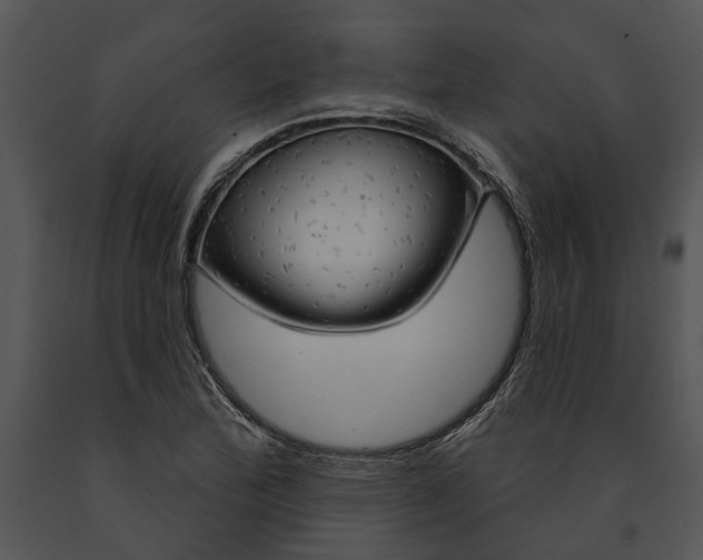 X0000091191172200708301231