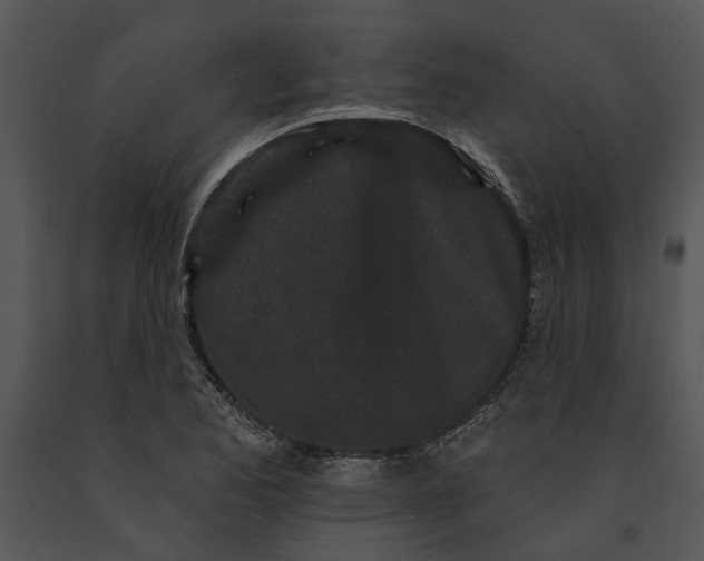 X0000091191173200708301231