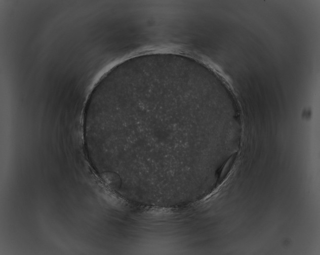 X0000091191174200708301231