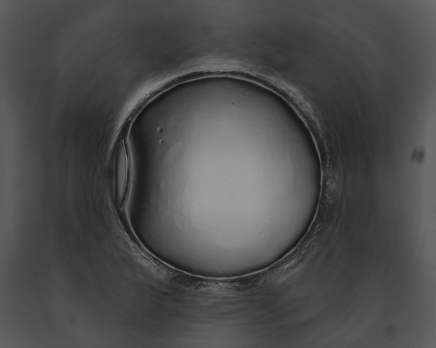 X0000091191175200708301231