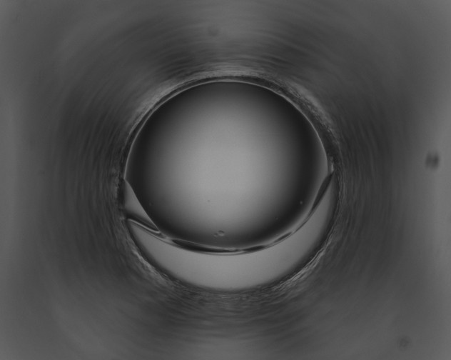 X0000091191177200708301231