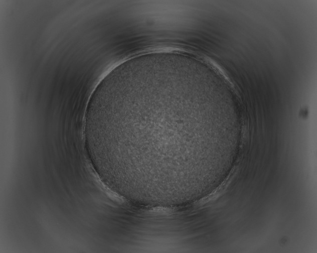 X0000091191178200708301231