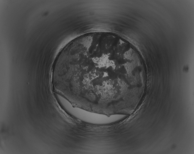 X0000091191179200708301231