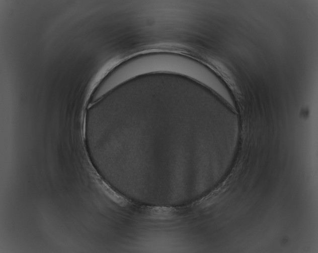 X0000091191180200708301231