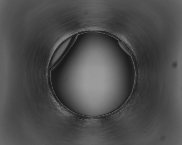 X0000091191181200708301231