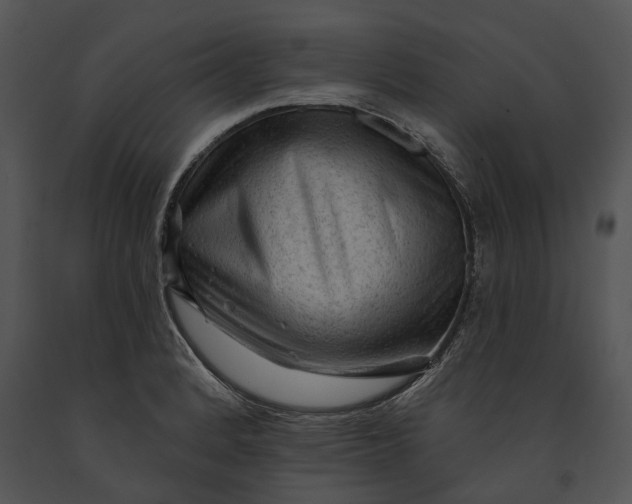 X0000091191184200708301230