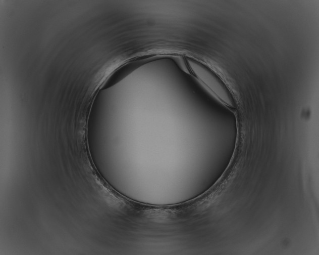 X0000091191185200708301230