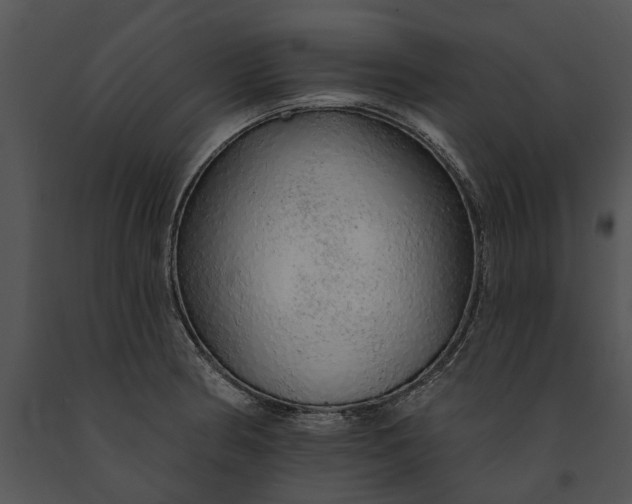 X0000091191186200708301230