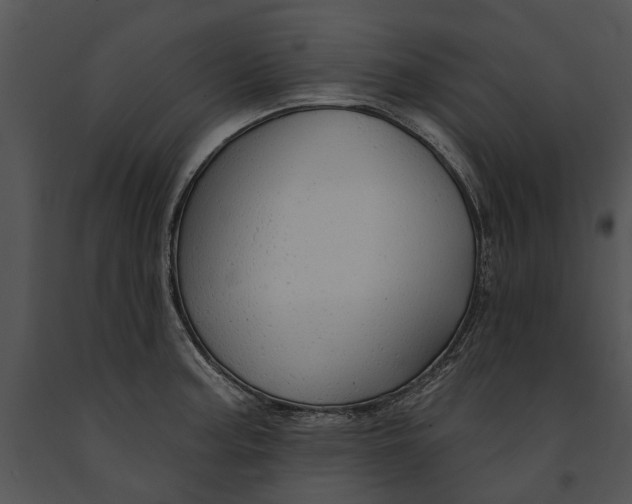 X0000091191187200708301230