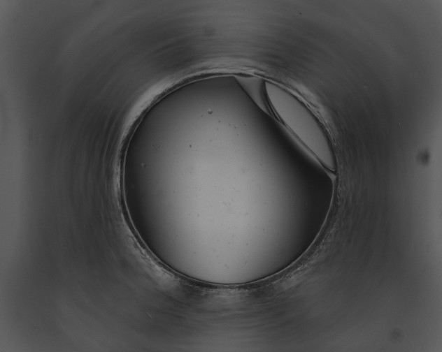 X0000091191188200708301230