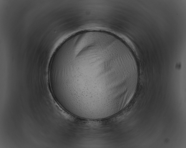 X0000091191191200708301230