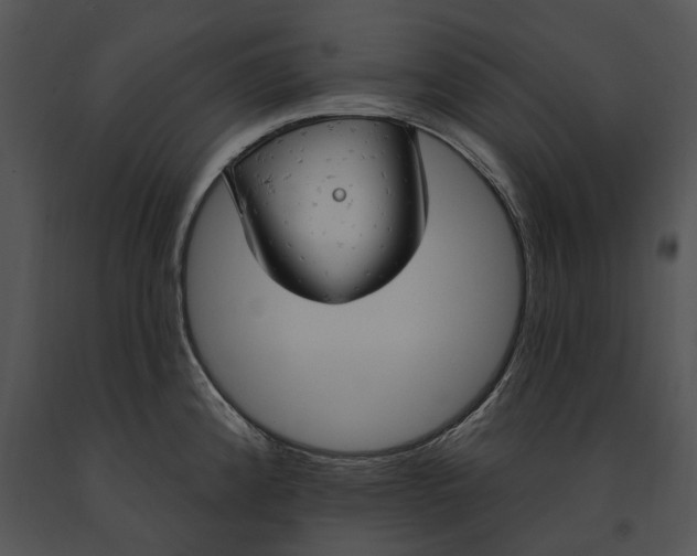 X0000091191192200708301230