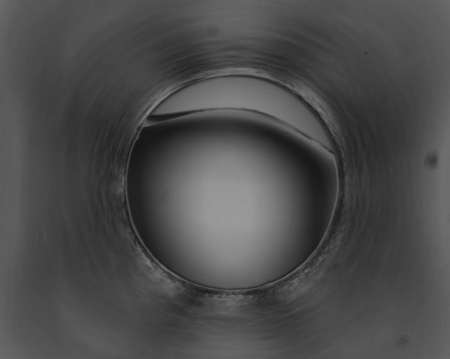 X0000091191193200708301230