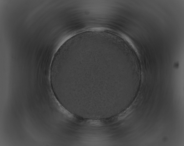 X0000091191194200708301230