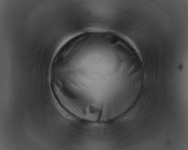 X0000091191195200708301230