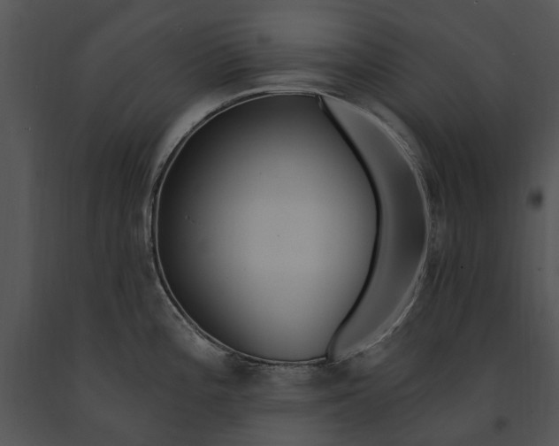 X0000091191196200708301230