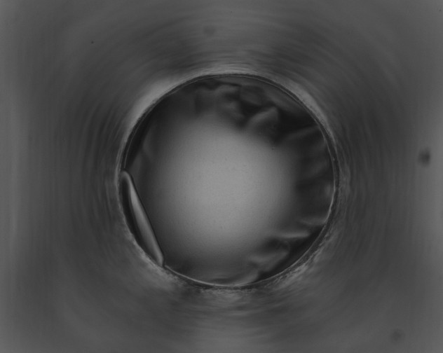 X0000091191197200708301230