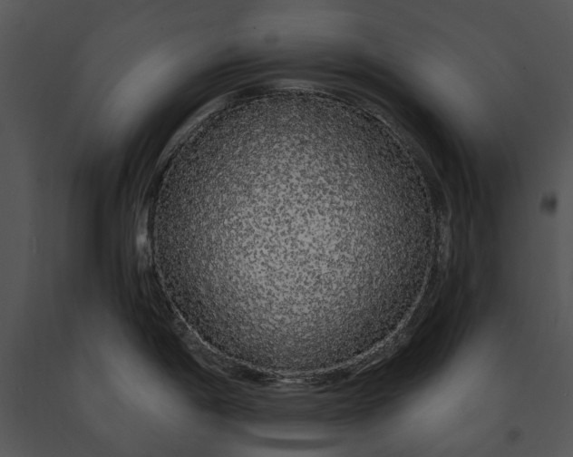 X0000091191198200708301230