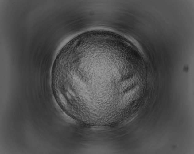 X0000091191199200708301230