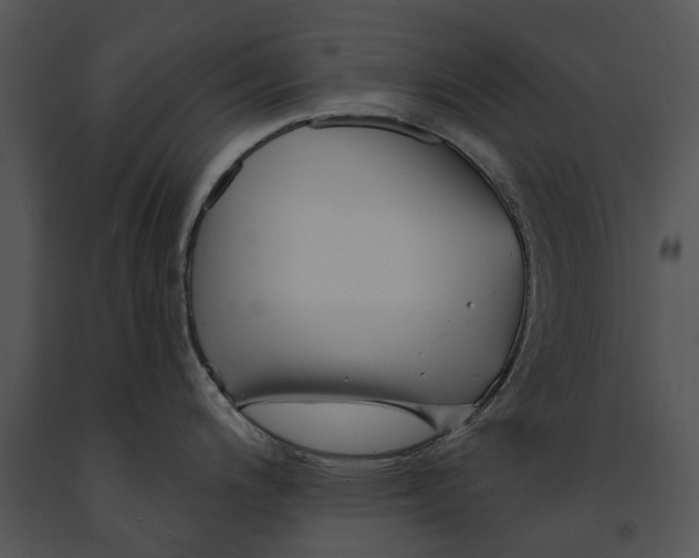 X0000091191200200708301230