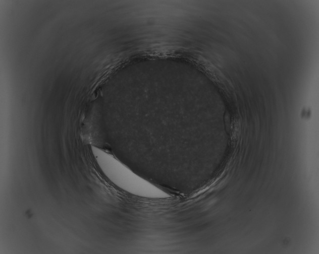 X0000091191202200708301230